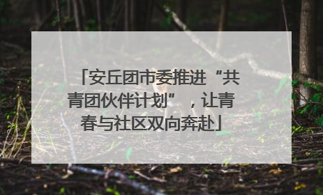 安丘团市委推进“共青团伙伴计划”，让青春与社区双向奔赴