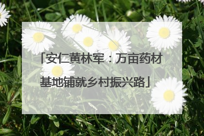 安仁黄林军：万亩药材基地铺就乡村振兴路
