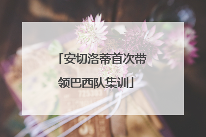 安切洛蒂首次带领巴西队集训