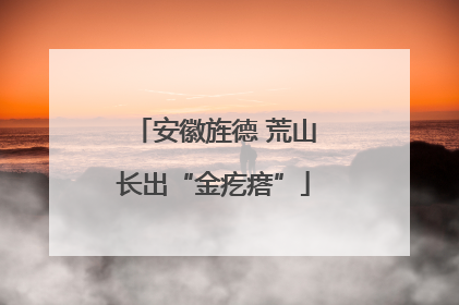 安徽旌德 荒山长出“金疙瘩”