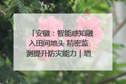 安徽：智能感知融入田间地头 精密监测提升防灾能力｜增发国债气象项目落地见效系列报道