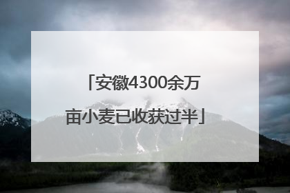 安徽4300余万亩小麦已收获过半