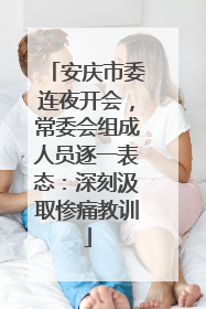 安庆市委连夜开会，常委会组成人员逐一表态：深刻汲取惨痛教训