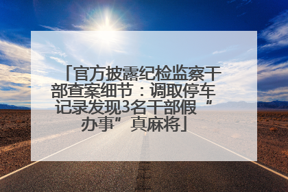 官方披露纪检监察干部查案细节：调取停车记录发现3名干部假“办事”真麻将