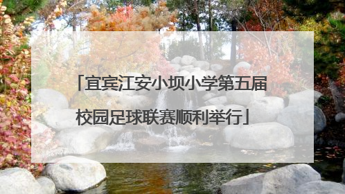 宜宾江安小坝小学第五届校园足球联赛顺利举行