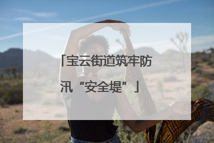 宝云街道筑牢防汛“安全堤”