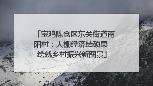 宝鸡陈仓区东关街道南阳村：大棚经济结硕果 绘就乡村振兴新图景