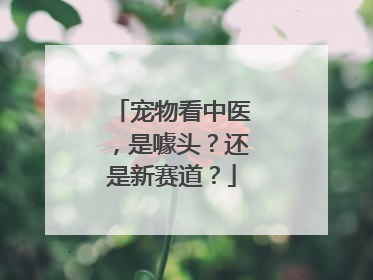 宠物看中医，是噱头？还是新赛道？