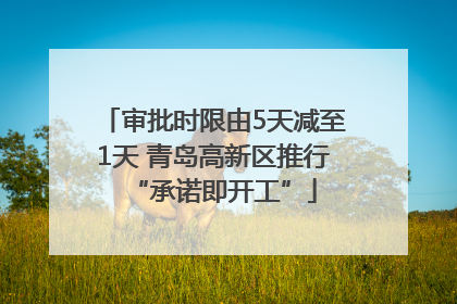 审批时限由5天减至1天 青岛高新区推行“承诺即开工”
