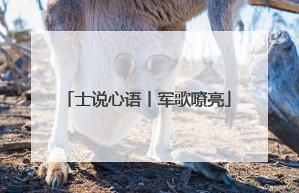 士说心语丨军歌嘹亮