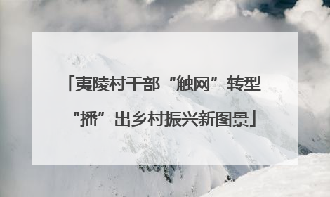 夷陵村干部“触网”转型“播”出乡村振兴新图景
