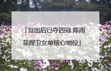 复出后已夺四冠 陈雨菲捍卫女单核心地位