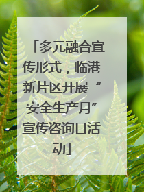 多元融合宣传形式，临港新片区开展“安全生产月”宣传咨询日活动