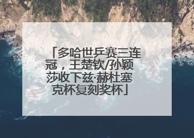 多哈世乒赛三连冠，王楚钦/孙颖莎收下兹·赫杜塞克杯复刻奖杯