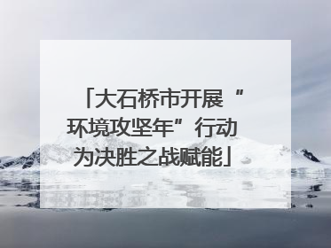 大石桥市开展“环境攻坚年”行动为决胜之战赋能