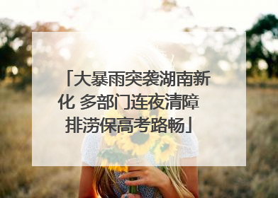 大暴雨突袭湖南新化 多部门连夜清障排涝保高考路畅