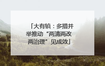 大有镇：多措并举推动“两清两改两治理”见成效