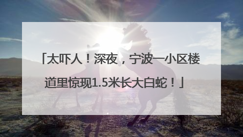 太吓人！深夜，宁波一小区楼道里惊现1.5米长大白蛇！