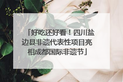 好吃还好看！四川盐边县非遗代表性项目亮相成都国际非遗节