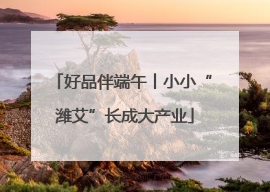 好品伴端午丨小小“潍艾”长成大产业