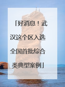 好消息！武汉这个区入选全国首批综合类典型案例