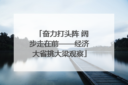 奋力打头阵 阔步走在前——经济大省挑大梁观察