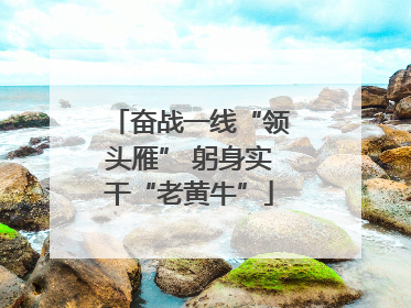 奋战一线“领头雁” 躬身实干“老黄牛”