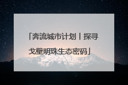 奔流城市计划丨探寻戈壁明珠生态密码