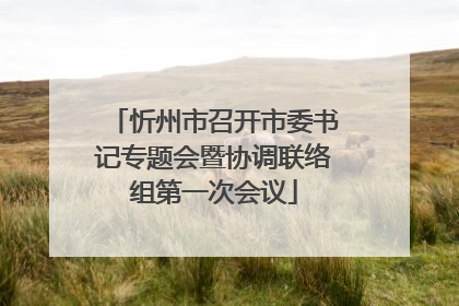 忻州市召开市委书记专题会暨协调联络组第一次会议
