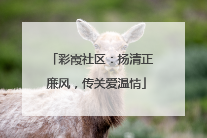 彩霞社区：扬清正廉风，传关爱温情
