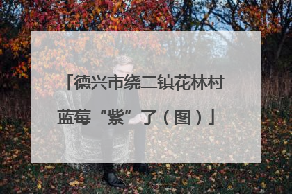 德兴市绕二镇花林村蓝莓“紫”了（图）