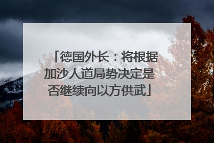 德国外长：将根据加沙人道局势决定是否继续向以方供武