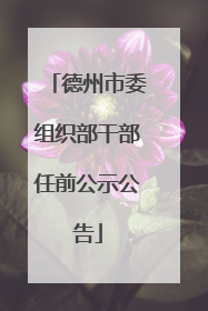 德州市委组织部干部任前公示公告