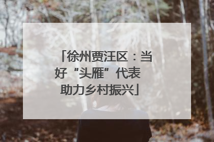 徐州贾汪区：当好“头雁”代表 助力乡村振兴
