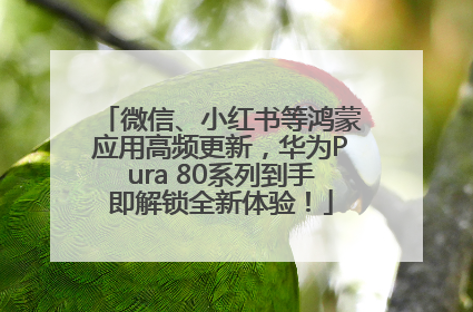 微信、小红书等鸿蒙应用高频更新，华为Pura 80系列到手即解锁全新体验！