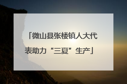 微山县张楼镇人大代表助力“三夏”生产