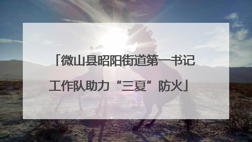 微山县昭阳街道第一书记工作队助力“三夏”防火