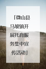 微山县马坡镇开展托育服务集中宣传活动
