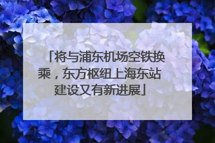 将与浦东机场空铁换乘，东方枢纽上海东站建设又有新进展