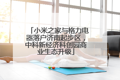 小米之家与格力电器落户济南起步区，中科新经济科创园商业生态升级