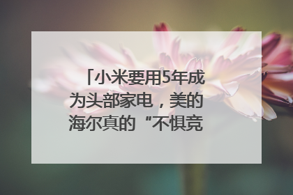 小米要用5年成为头部家电，美的海尔真的“不惧竞争”？｜热财经