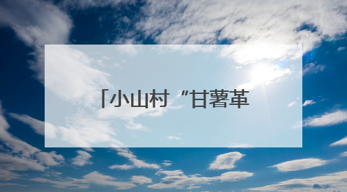 小山村“甘薯革命”：电商直播让地瓜走出大山