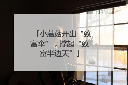 小蘑菇开出“致富伞”，撑起“致富半边天”