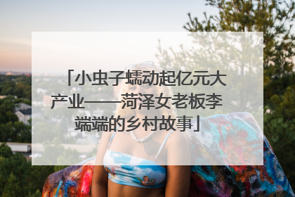 小虫子蠕动起亿元大产业——菏泽女老板李端端的乡村故事