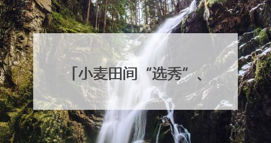 小麦田间“选秀”、蚕房变“流水线”……三夏收获正在进行