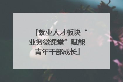 就业人才板块“业务微课堂”赋能青年干部成长