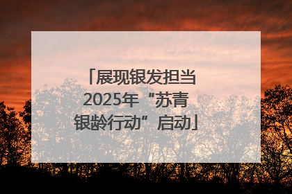 展现银发担当 2025年“苏青银龄行动”启动