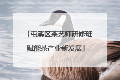 屯溪区茶艺师研修班赋能茶产业新发展