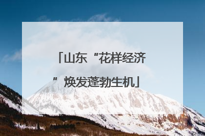 山东“花样经济”焕发蓬勃生机