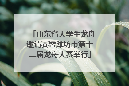 山东省大学生龙舟邀请赛暨潍坊市第十二届龙舟大赛举行